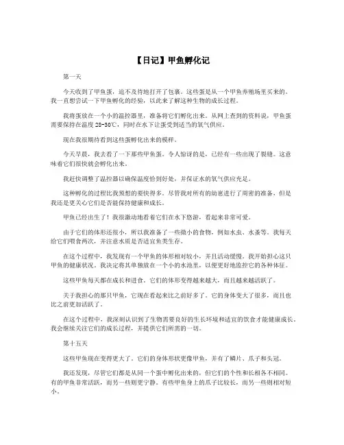 【日记】甲鱼孵化记