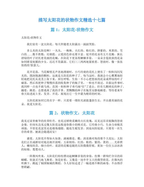描写太阳花的状物作文精选十七篇