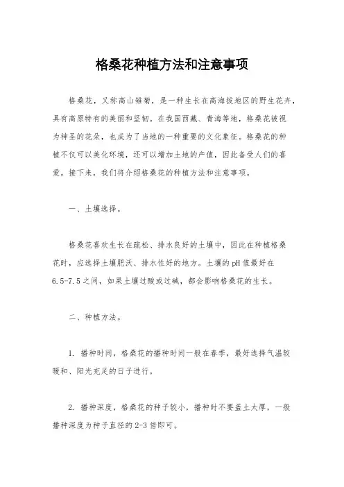 格桑花种植方法和注意事项