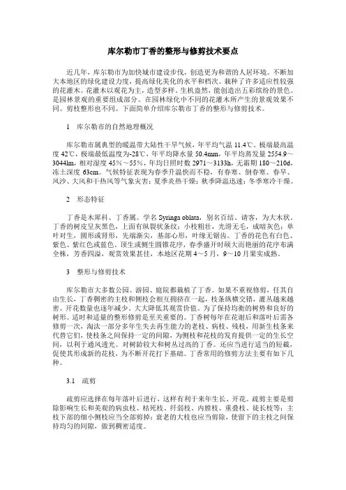 库尔勒市丁香的整形与修剪技术要点
