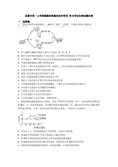 成都市高一上学期细胞的能量供应和利用 单元考试生物试题试卷