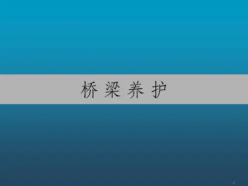 桥梁基本知识-桥梁养护课件