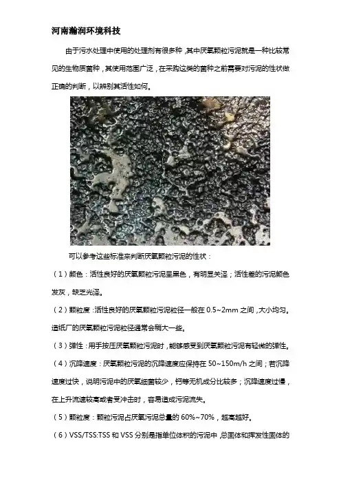 厌氧颗粒污泥性状判断