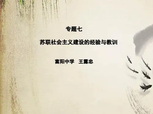 苏联社会主义建设的经验与教训ppt 人教版