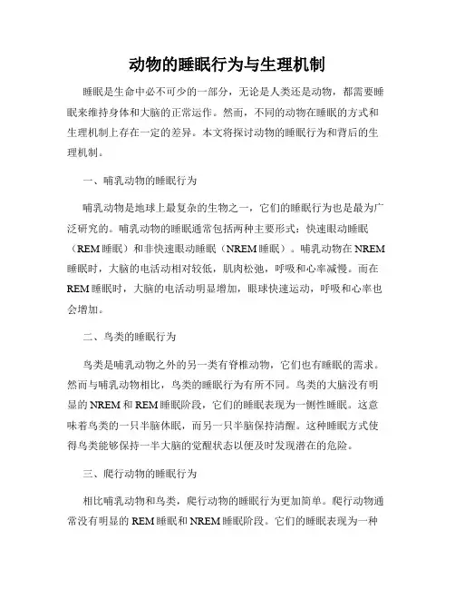 动物的睡眠行为与生理机制