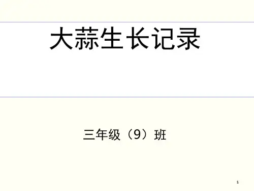 大蒜生长记录(课堂PPT)