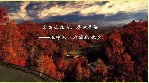 14.1 《故都的秋》 课件(共61张PPT)统编版高中语文必修上册