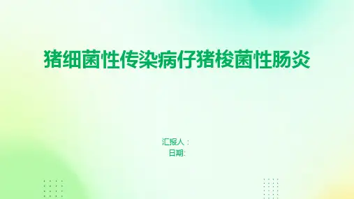 猪细菌性传染病仔猪梭菌性肠炎