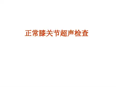 正常膝关节超声检查