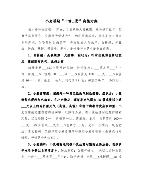 小麦后期“一喷三防”实施方案（三篇）