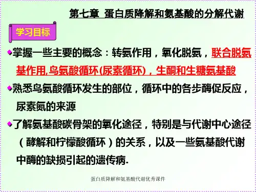 蛋白质降解和氨基酸代谢优秀课件.ppt