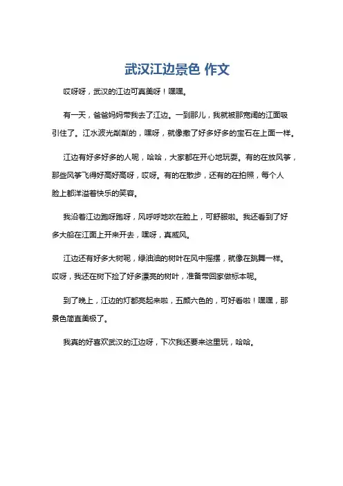 武汉江边景色 作文