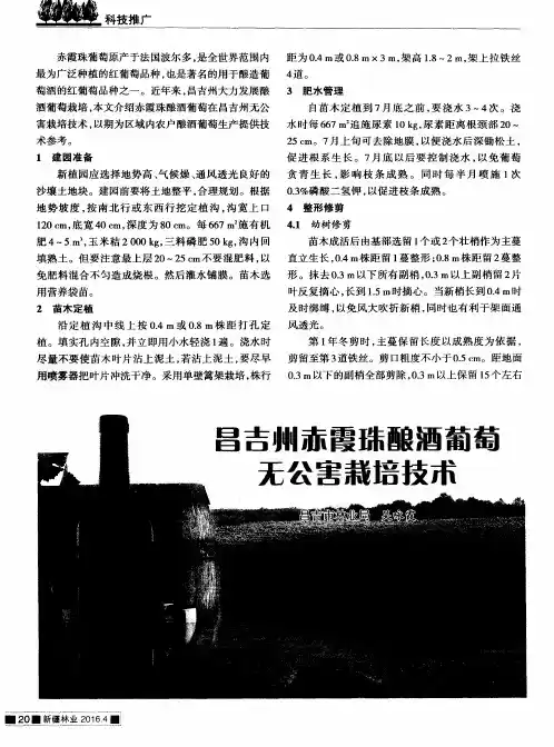 昌吉州赤霞珠酿酒葡萄无公害栽培技术