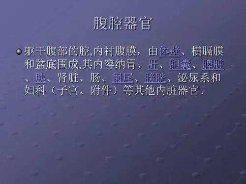 腹腔器官ppt课件