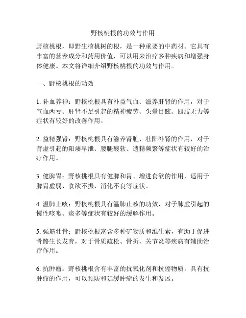 野核桃根的功效与作用