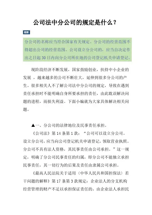 公司法中分公司的规定是什么？
