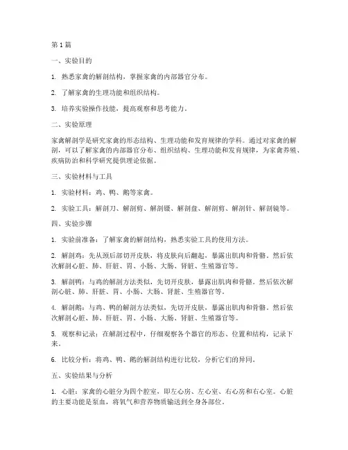 家禽剖解实验报告总结(3篇)