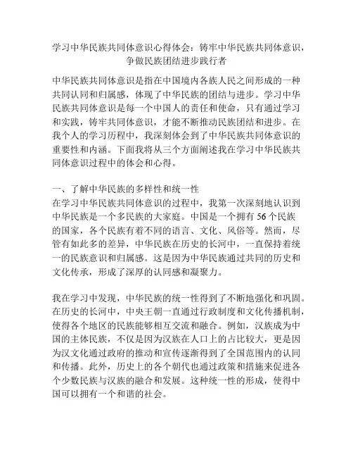 学习中华民族共同体意识心得体会：铸牢中华民族共同体意识,争做民族团结进步践行者