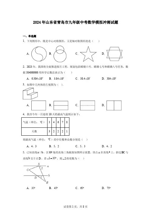 2024年山东省青岛市九年级中考数学模拟冲刺试题