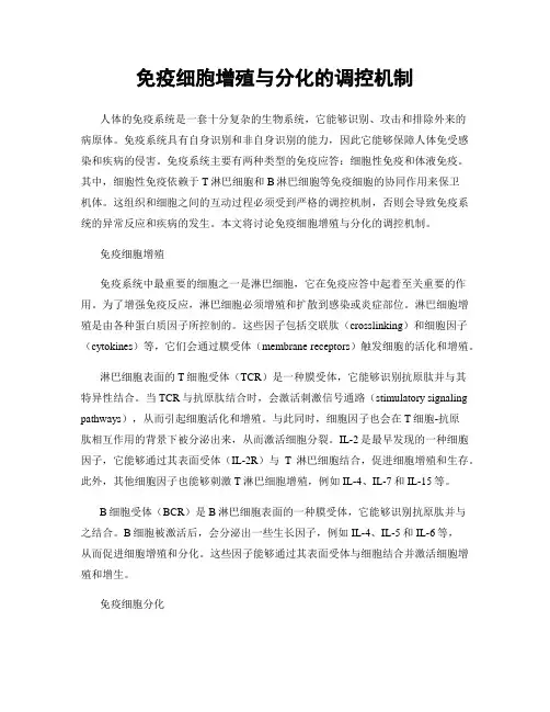 免疫细胞增殖与分化的调控机制
