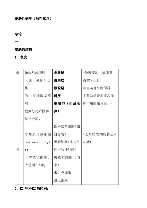 皮肤病性病学重点小结