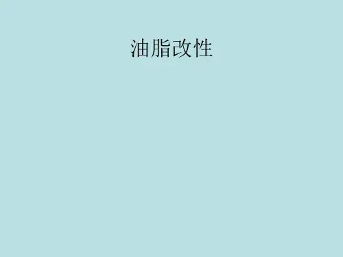 04油脂改性解析