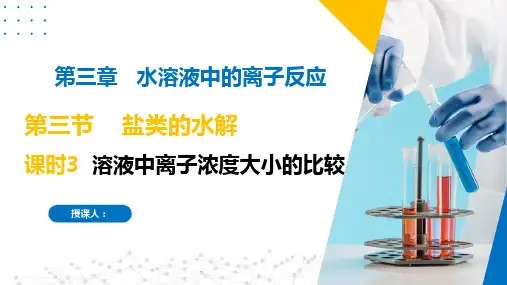3.3.3溶液中离子浓度大小的比较(课件)-高二化学(苏教版2019选择性必修第一册)