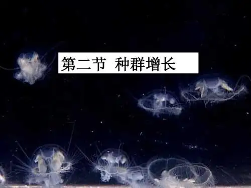 生态学--第三章 种群生态学(2-3节)