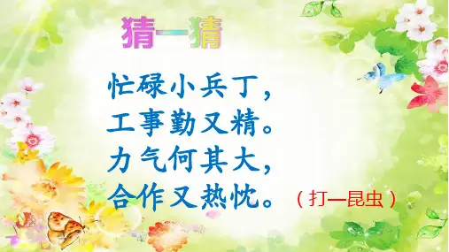 人教部编版三年级语文上册《一块奶酪》优秀教学课件