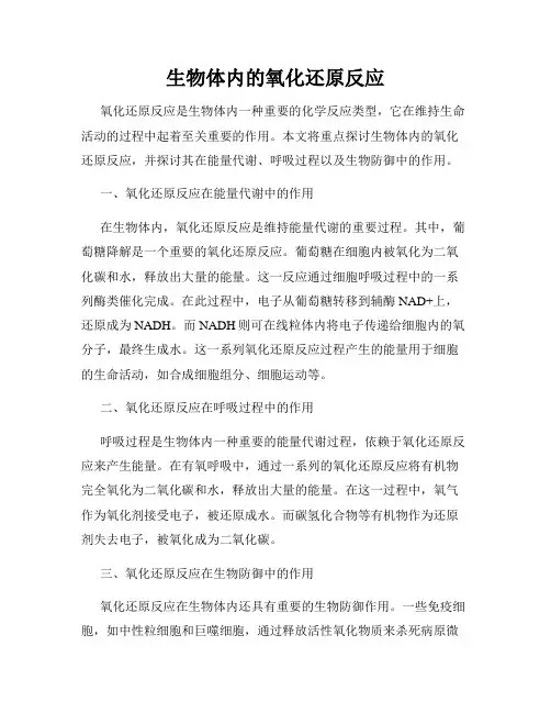 生物体内的氧化还原反应