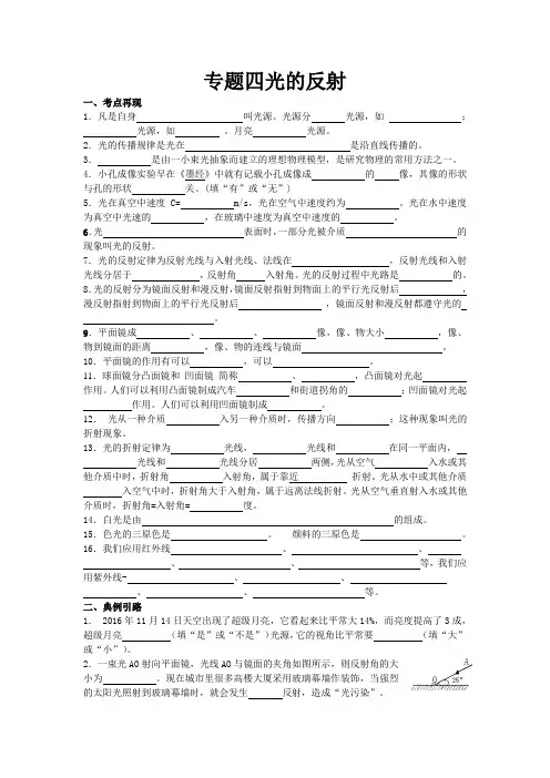 专题训练四 光的反射-2023年物理中考一轮复习【满分三部曲】