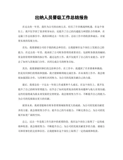 出纳人员晋级工作总结报告