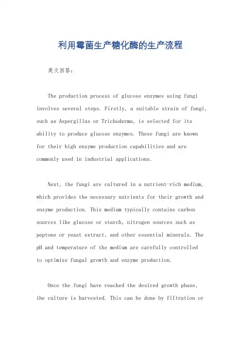 利用霉菌生产糖化酶的生产流程