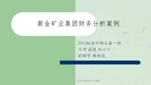 紫金矿业集团财务分析案例课件