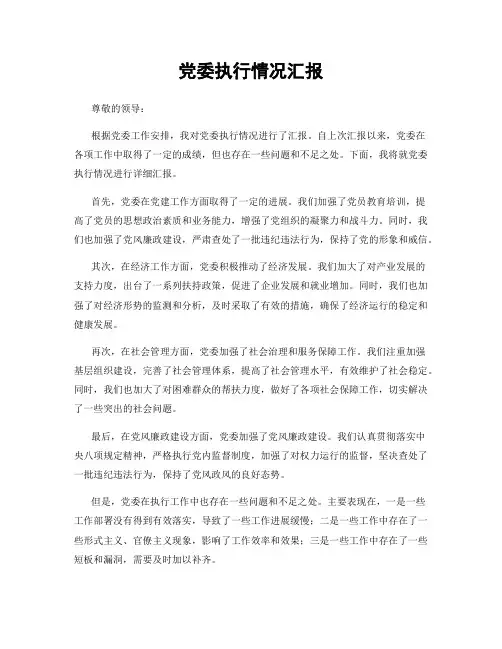 党委执行情况汇报