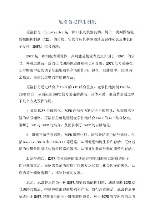 厄洛替尼作用机制