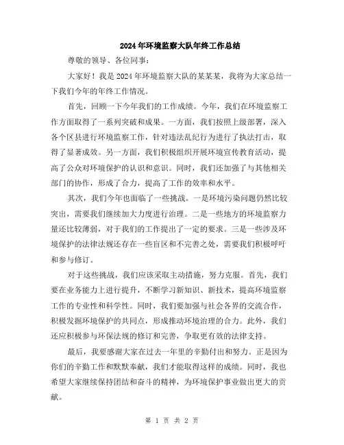 2024年环境监察大队年终工作总结