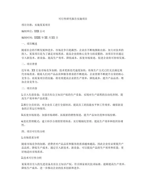 可行性研究报告实施项目