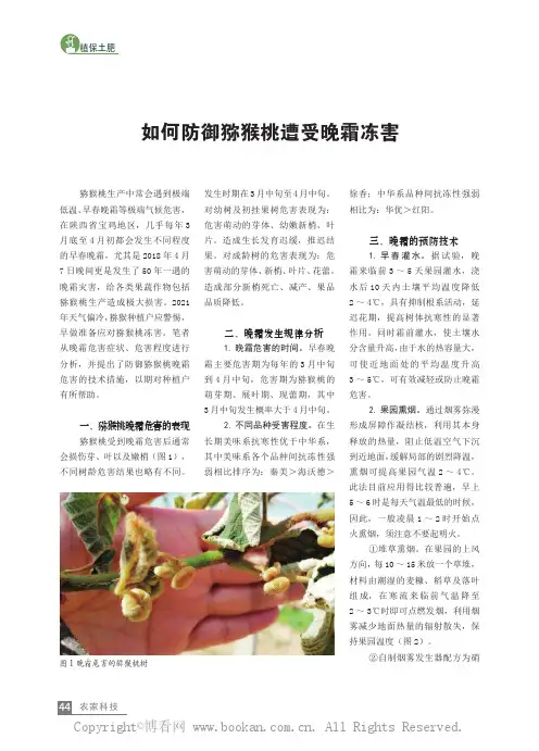 如何防御猕猴桃遭受晚霜冻害