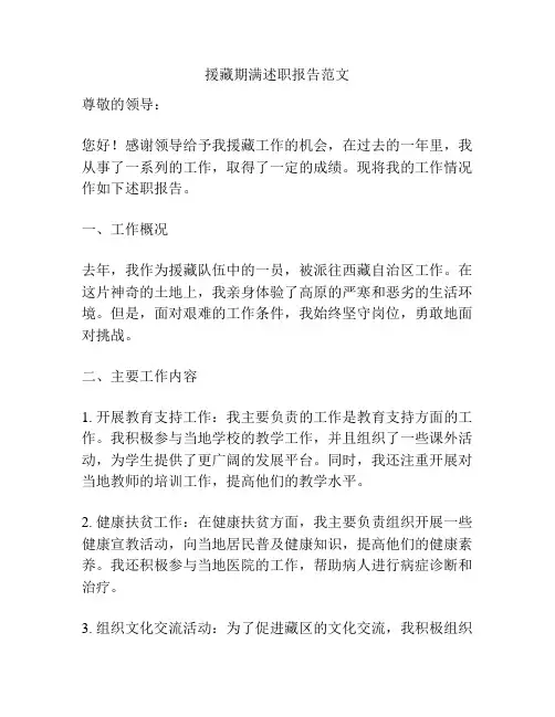 援藏期满述职报告范文