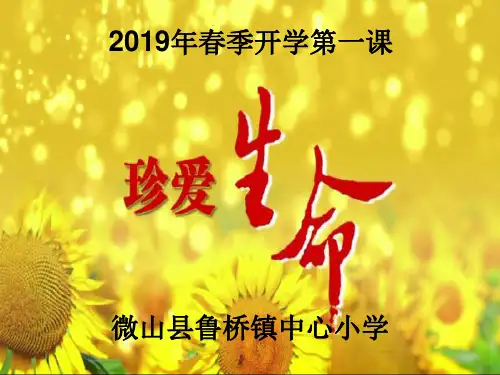 2019年春季开学安全第一课
