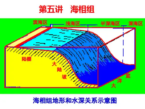 《油区岩相古地理》第五讲 海相组