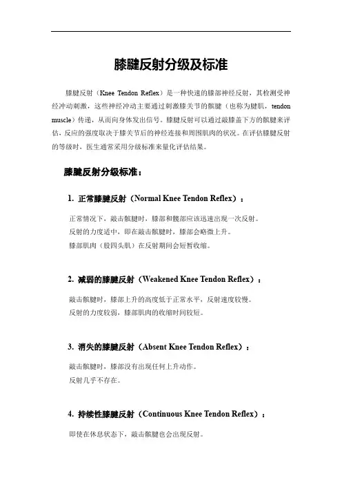 膝腱反射分级及标准