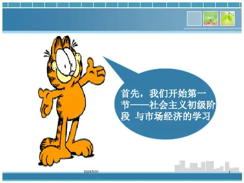 中国市场化改革课件