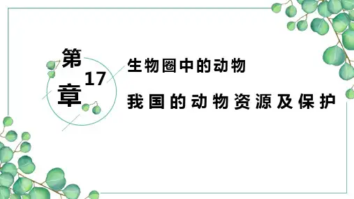 北师大版八年级生物上册 我国的动物资源及保护 教学课件