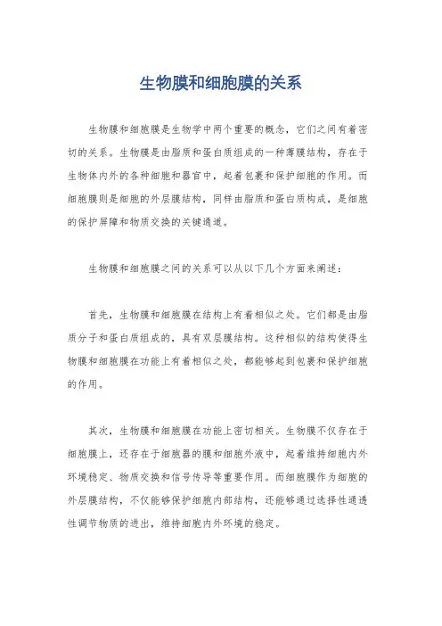 生物膜和细胞膜的关系