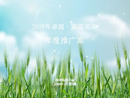 i【广告策划-PPT】09卓越年度推广活动案PPT