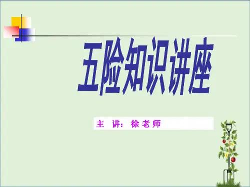 五险培训课件资料
