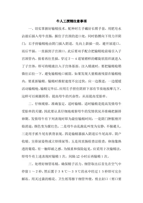 牛人工授精注意事项