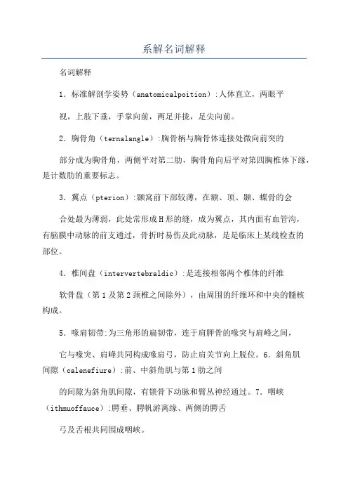 系解名词解释